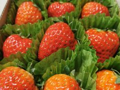 -元初食品(幸福e家小区店)