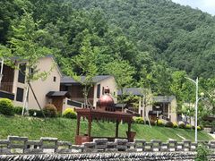 -牛背梁国家森林公园