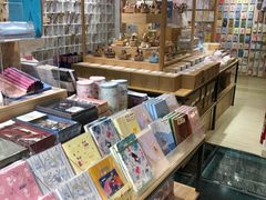 -猫的天空之城概念书店(丽江古城饮玉巷店)