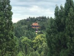 -龙口南山旅游景区