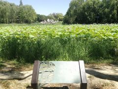 -东升八家郊野公园