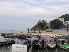 -杨梅坑