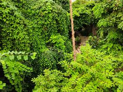 -郑州植物园