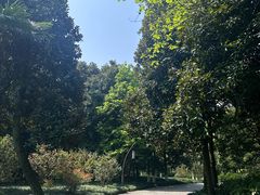 -杭州植物园