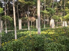 -长春市南湖公园