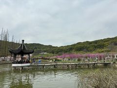 -苏州上方山国家森林公园