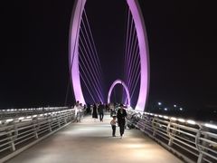 -南京眼步行桥