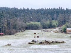 -武陵山森林公园