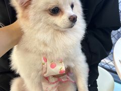 -怪兽屋·羊驼·猫咖·狗咖(俊华广场店)