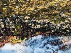 -碧桂园十里银滩