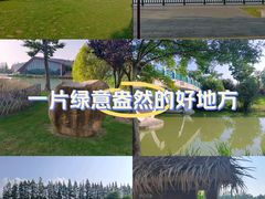 -上海长兴岛郊野公园