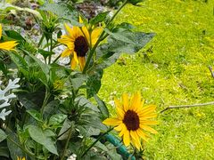 -山东省千佛山医院