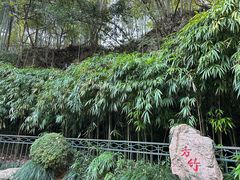 -杭州黄龙洞