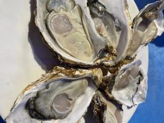 -千岛蚝高压锅生蚝·人参火锅(白云万达店)