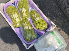 -西郊国际农产品交易中心