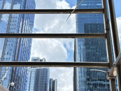 -萍姨抻面馆·鸡架冒菜(清湖店)