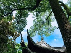 -天一阁博物院