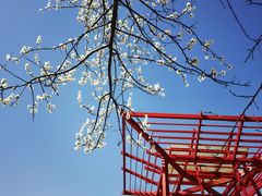-大望京公园