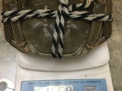 -喜洋洋蟹庄(阳澄湖店)