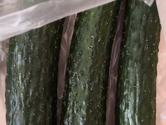 -聚家乐生鲜超市(枫林路店)