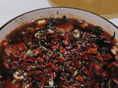 -雲蜀龙阁·金牌水煮鱼(方庄店)