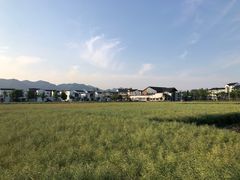 -东梓关景区村庄