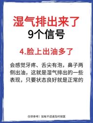 -Fundi张玉珊修身堂·indiba·BTL科技瘦身