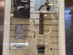 -通利琴行(尖沙咀旗舰店)