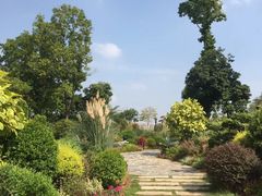 -东莞植物园