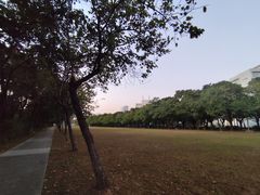 -华南师范大学(广州大学城校区)