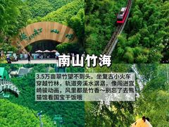 -紫藤园·天目湖大鱼头(南山竹海店)