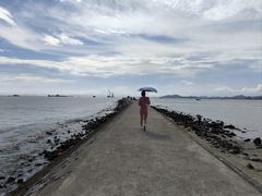 -广东惠东海龟国家级自然保护区
