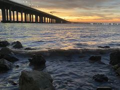 -宝安西湾红树林湿地公园