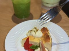 -O'eat Blossom&Pelican(深圳首店)