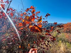 -北京西山国家森林公园