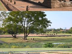 -盘龙城国家考古遗址公园