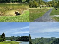 -阿露佳·舌尖上的安吉菜