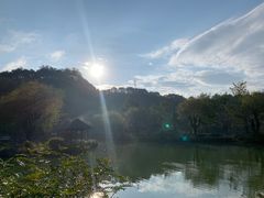 -黄椅山火山森林公园