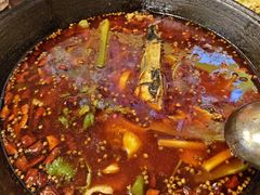 -鸿顺老铁锅美蛙鱼府(解放碑店)