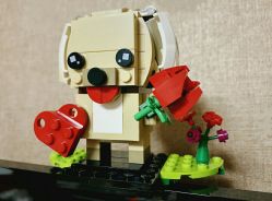 -乐高授权专卖店(济南万象城店)