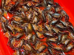 -三炮儿烧烤·羊锅·铁锅炖(南京首店)