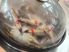 -半岛听涛蒸汽海鲜自助(K11店)