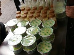 -德禄酸奶(莫家街店)