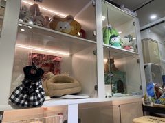 -e嘉宠物店(北大街店)