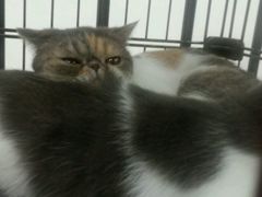 android_upload_pic-贝紫Style(木马公寓店)