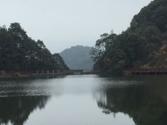 -广州市石门国家森林公园