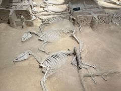 -洛阳周王城天子驾六博物馆