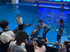 -锦艺城海洋馆