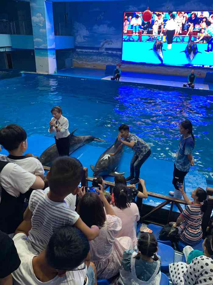 锦艺城海洋馆-"没去之前一直不太看好这个市区内的地下室海.