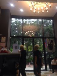 点击看大图 -3AM HAIR SALON染发接发